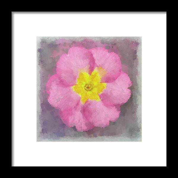 Primrose Pink Framed Print featuring the photograph Primrose Pink by Cora Niele