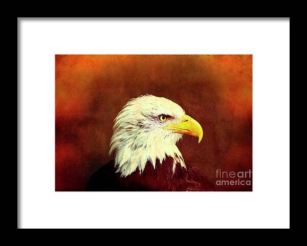 Art Framed Print featuring the photograph Profile Eagle Grunge by Zuberka