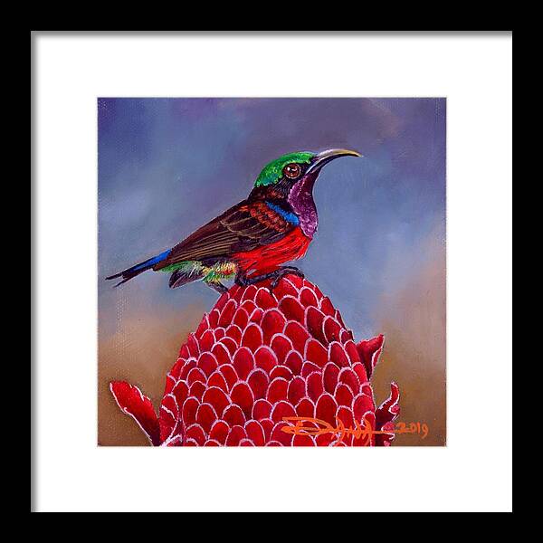 Birds Framed Print featuring the painting Purple Throated Sunbird on Red Torch Ginger by Dana Newman