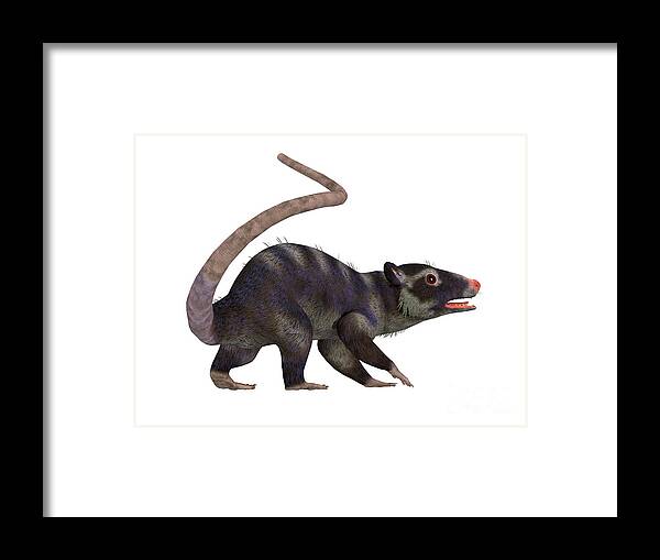 Purgatorius Framed Print featuring the digital art Purgatorius Primate Tail by Corey Ford
