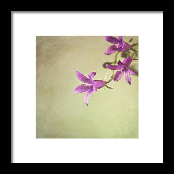 Purple Framed Print featuring the photograph Purple Flowers by Photo - Lyn Randle