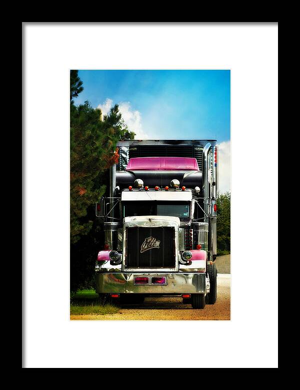 Purple Pete Framed Print featuring the photograph Purple Pete by Cyryn Fyrcyd