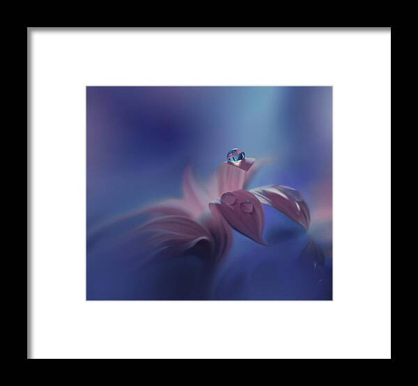 Drop Framed Print featuring the photograph Purple Wind... by Juliana Nan