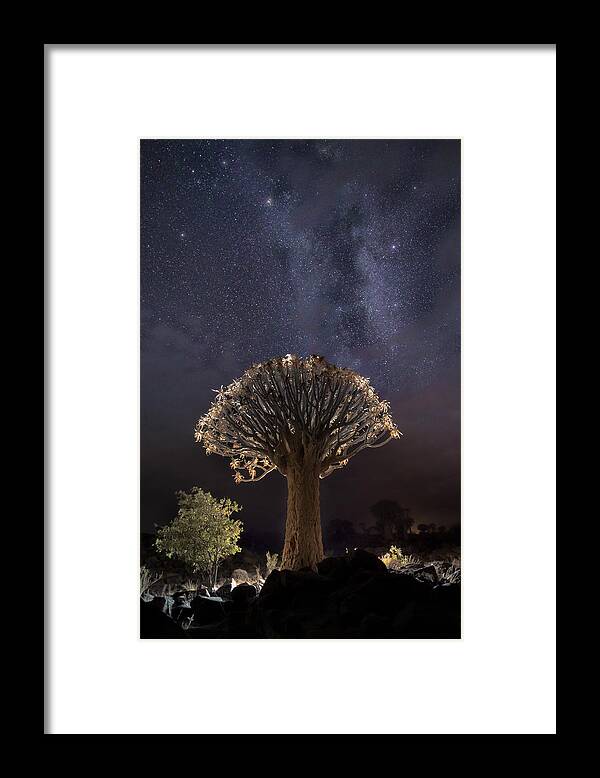 Namibia Framed Print featuring the photograph Quiver Tree And Milky Way A733729 by Joanaduenas