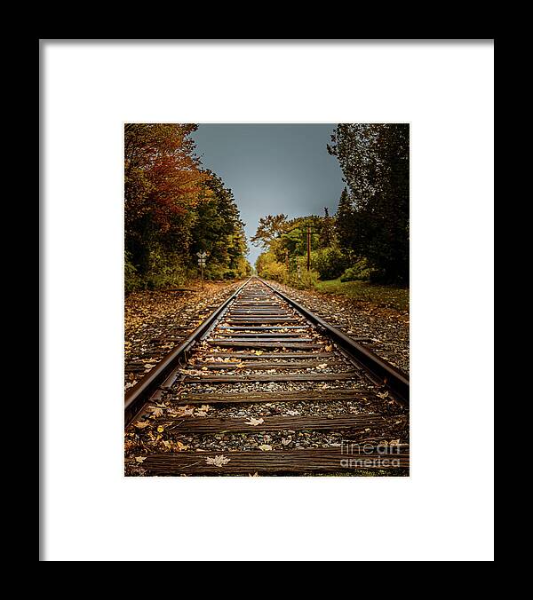 Autumn Framed Print featuring the photograph Railroad Tracks Yarmouth by Elizabeth Dow