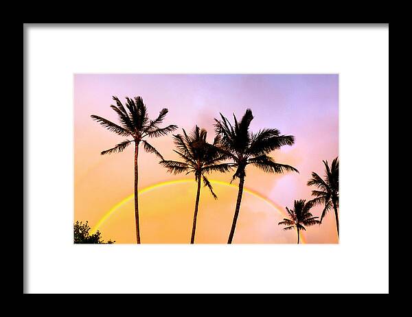Rainbow Framed Print featuring the photograph Rainbow Palms by Sean Davey