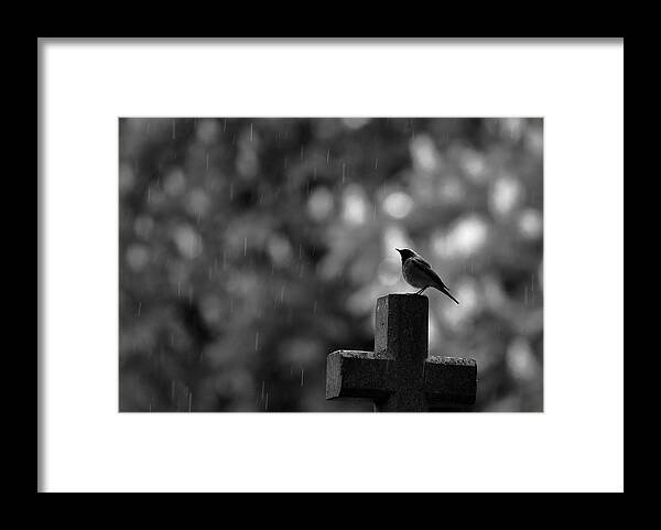 Rainy Framed Print featuring the photograph Rainy Day On Cemetery by Simun Ascic