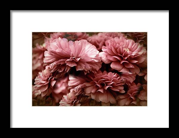 Flowers Framed Print featuring the photograph Ranunculus Petal Play by Jessica Jenney