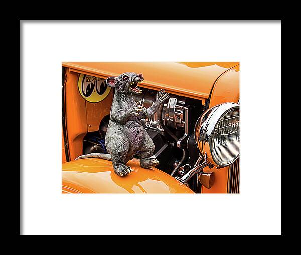 Rat Framed Print featuring the photograph Rat on Fender by Ron Roberts
