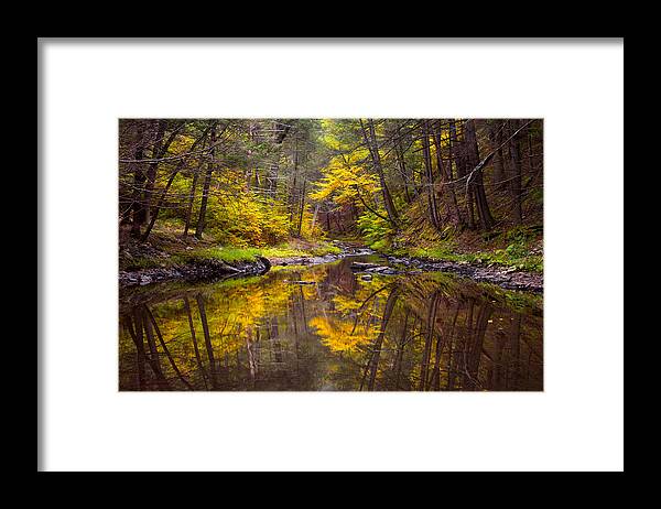 America Framed Print featuring the photograph Raymondskill Creek by Michael Gadomski