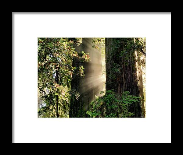 Beautiful Framed Print featuring the photograph Rays of Light by Leland D Howard
