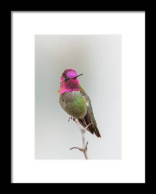 Loree Johnson Photography Framed Print featuring the photograph Ready for My Close Up by Loree Johnson