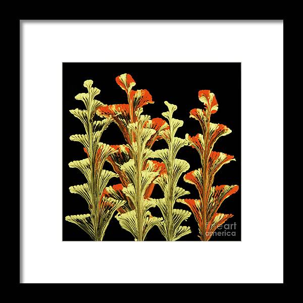 Poured Acrylics Framed Print featuring the painting Red and Gold Floral by Lucy Arnold