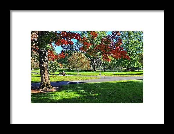 Boston Framed Print featuring the photograph Red Autumn Tree in the Boston Public Garden Boston MA by Toby McGuire
