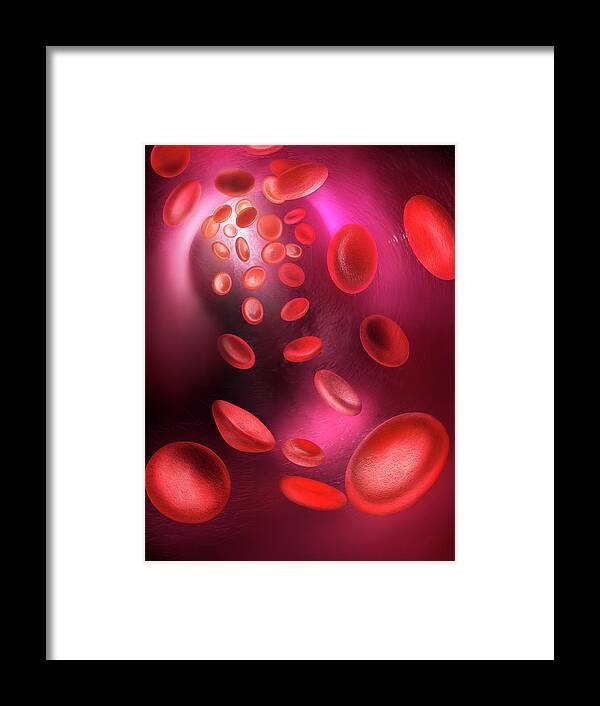 Microscope Framed Print featuring the photograph Red Blood Cells Passing Through Blood by Gandee Vasan