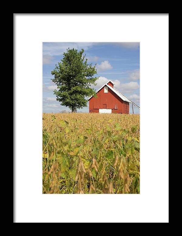 Red Crib September Framed Print featuring the photograph Red Crib September by Dylan Punke