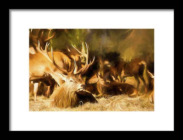 Color Framed Print featuring the digital art Red Deer Stag Painting by Rick Deacon