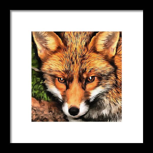 Cute Framed Print featuring the painting Red Fox by Taiche Acrylic Art