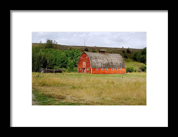 Barn Framed Print featuring the photograph Red Lodge MT Barn by Cathy Anderson