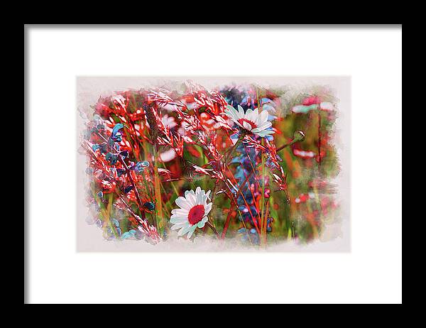 Red Wildflowers Framed Print featuring the digital art Red Motives by Alex Mir