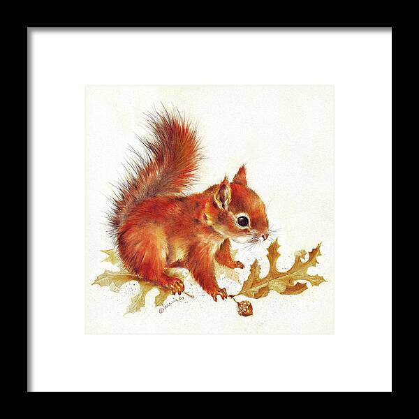 Squirrel Framed Print featuring the painting Red Squirrel by Peggy Harris