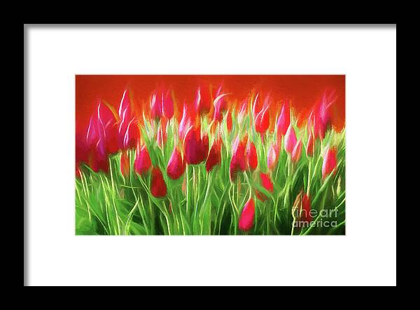 Wall Art Framed Print featuring the photograph Red Tulips by Philip Preston