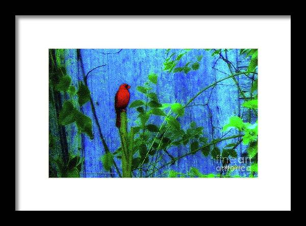 Earth Day Framed Print featuring the photograph Redbird Enjoying the Clarity of a Blue and Green Moment by Aberjhani