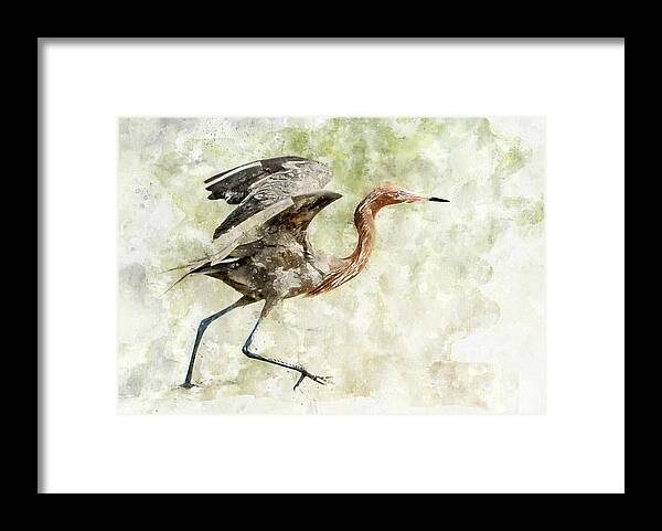 Egret Framed Print featuring the photograph Reddish Egret Water Color by Gordon Ripley
