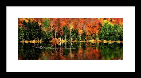 Tranquility Framed Print featuring the photograph Reflection Of Fall Foliage by Shobeir Ansari
