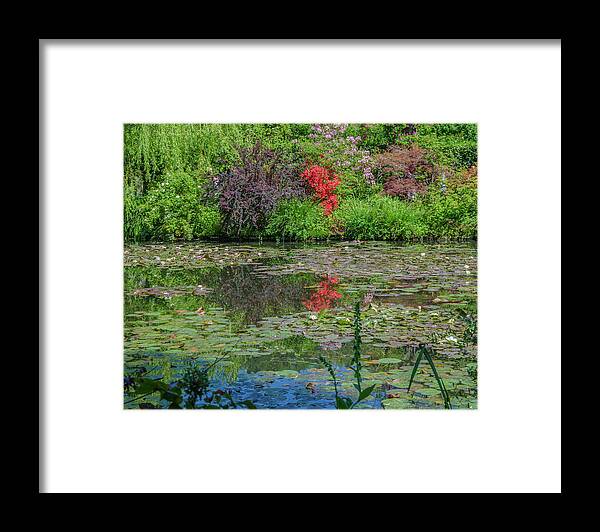 Claude Framed Print featuring the photograph Reflections of Claude Monet by Douglas Wielfaert