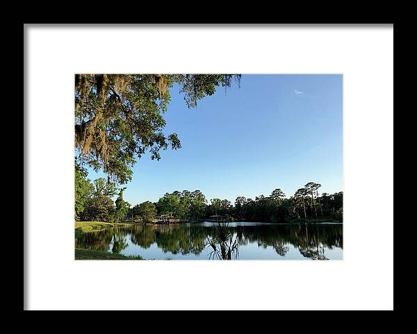 Reflections Framed Print featuring the photograph Reflections on Spring Lake by Dennis Schmidt