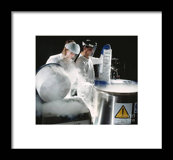 Microbiology Laboratory Framed Print featuring the photograph Researchers Handling Trays Of Frozen Bacteria by Geoff Tompkinson/science Photo Library