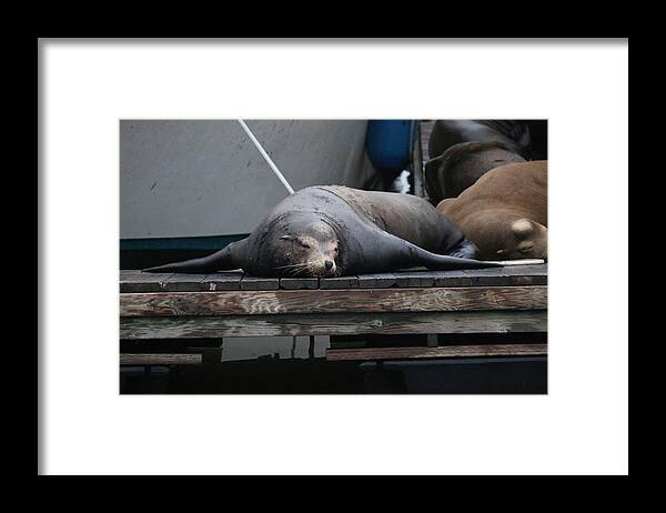 Sea Framed Print featuring the photograph Resting on the Dock - 2 by Christy Pooschke