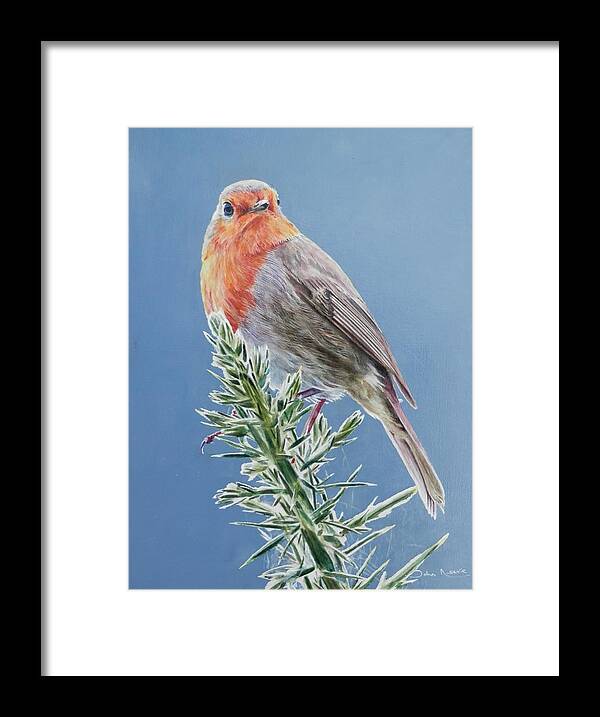 Robin Framed Print featuring the painting Robin on Thorns by John Neeve