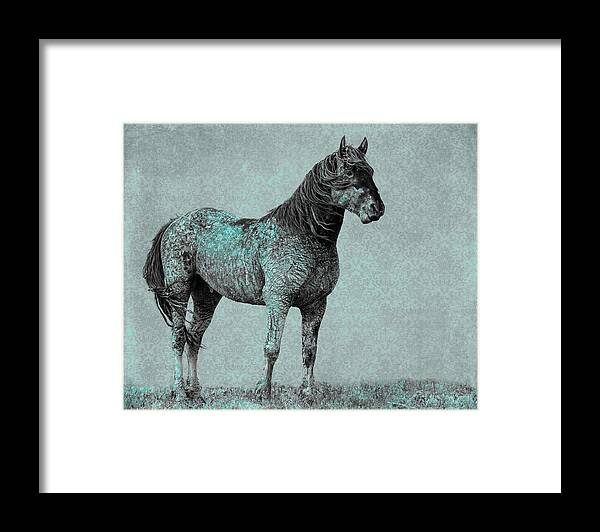 Wild Horses Framed Print featuring the photograph Rhapsody in Blue by Mary Hone