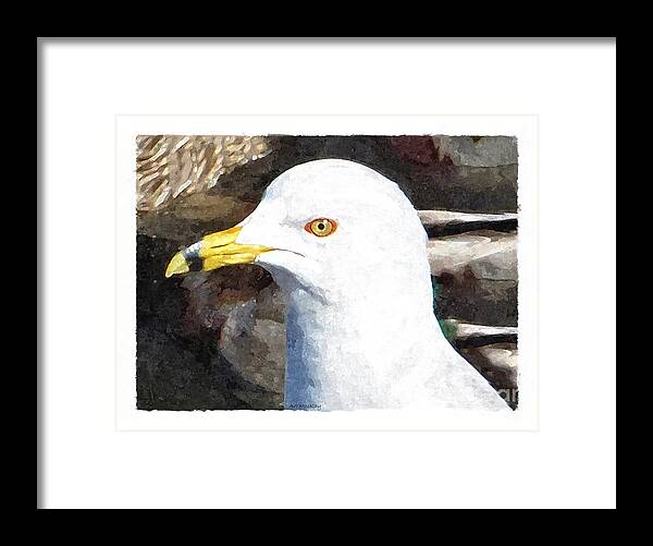 Birds Framed Print featuring the digital art Ringbilled Gull Portrait by Art MacKay