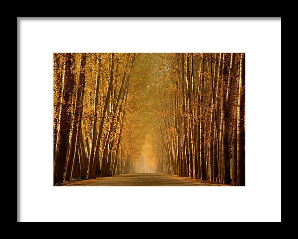 Scenics Framed Print featuring the photograph Road To Heaven by Pkg Photography