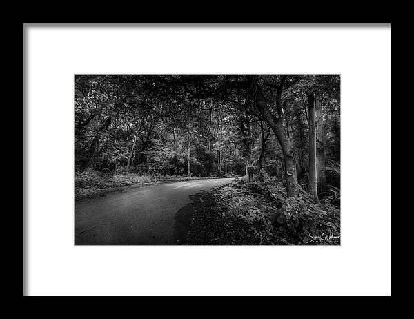 Forest Framed Print featuring the photograph Road to Nowhere by Bryan Williams
