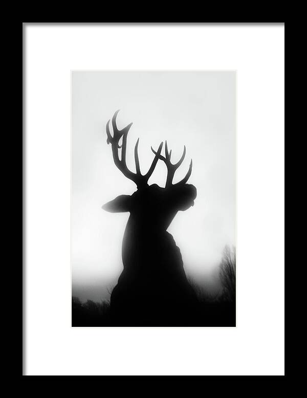 Deer Framed Print featuring the photograph Roar by Dorit Fuhg
