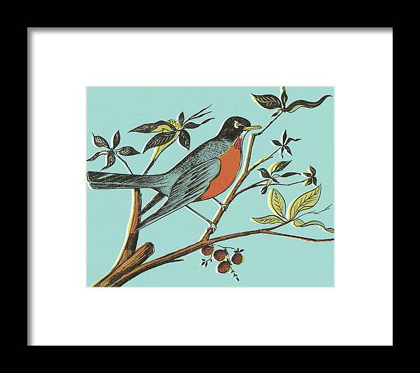 Animal Framed Print featuring the drawing Robin in Tree by CSA Images