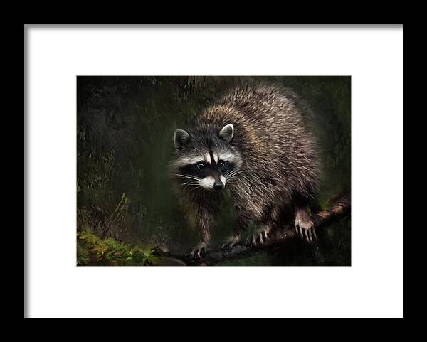 Raccoon Framed Print featuring the painting Rocky Raccoon by Jeanette Mahoney