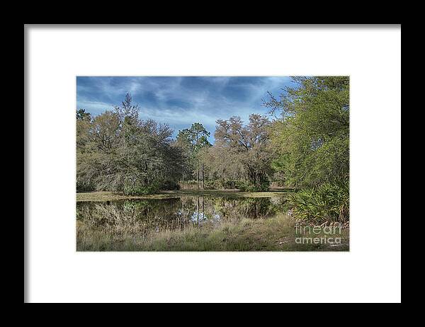 Rodman Framed Print featuring the photograph Rodman Country by Judy Hall-Folde
