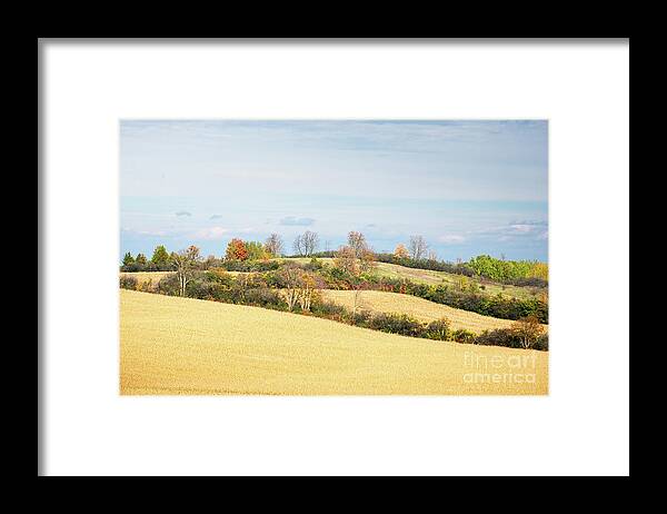 Fields Framed Print featuring the photograph Rolling Hills In Fall by Les Palenik
