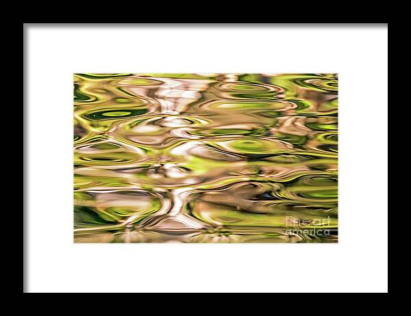 Reflections Framed Print featuring the photograph Rose and Green by Kate Brown