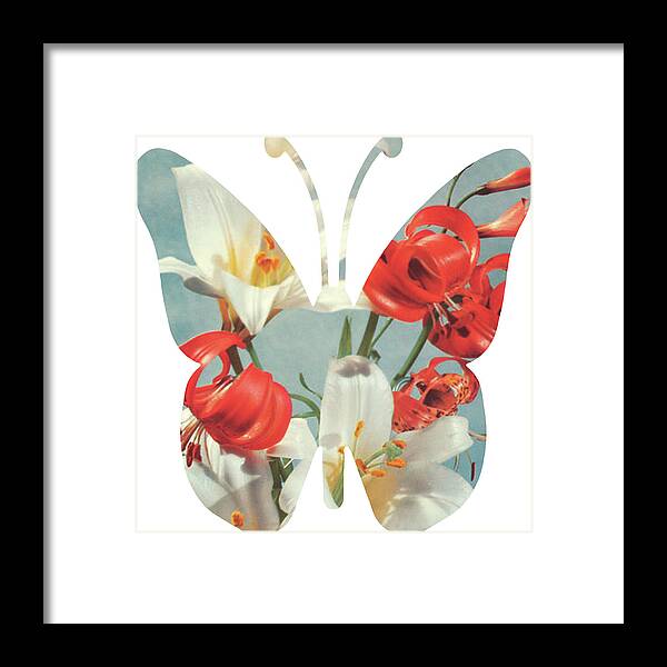 Animal Framed Print featuring the drawing Rose butterfly by CSA Images