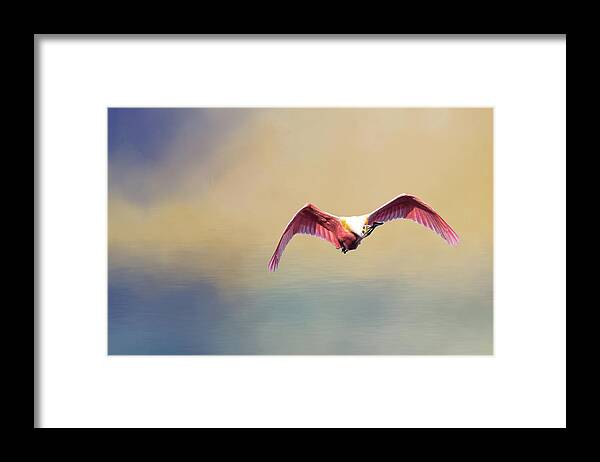 Birds Framed Print featuring the photograph Roseate Spoonbill at Sunrise by Norman Peay