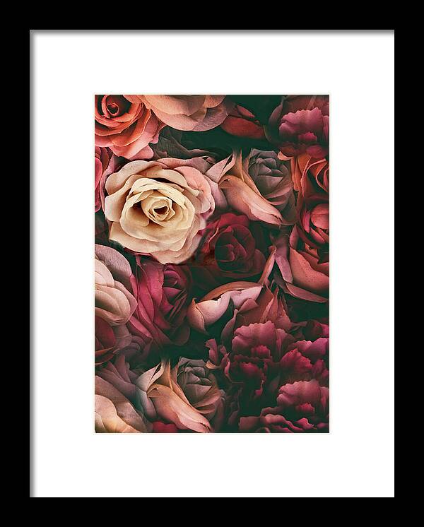 Roses Framed Print featuring the photograph Rouge Rose by Jessica Jenney