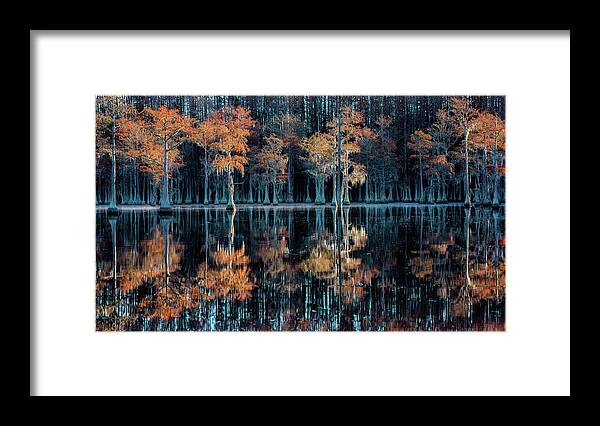 Abstract Framed Print featuring the photograph Row of Cypress by Alex Mironyuk