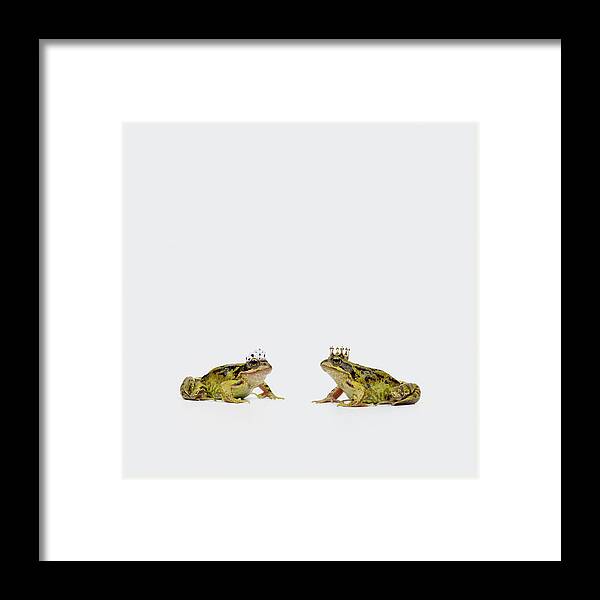 Crown Framed Print featuring the photograph Royal Frogs by Maarten Wouters