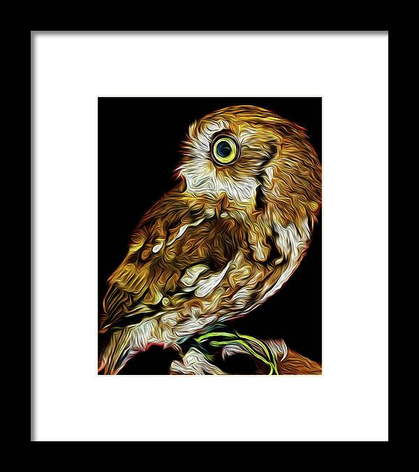 Eastern Screech Owl Owl Wildlife Florida Framed Print featuring the digital art Ruby in Regard by Michael Allard